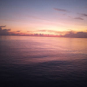 Meet your Posher, Ladawna